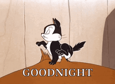 A Cartoon Cat Is Standing On A Rock With The Words Goodnight Below It . GIF