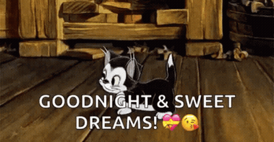 A Cartoon Cat Is Walking On A Wooden Floor With The Words `` Goodnight And Sweet Dreams '' . GIF