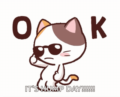 A Cartoon Cat Is Wearing Sunglasses And Says " It 'S Hump Day " GIF