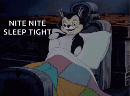 A Cartoon Cat Laying In Bed With The Words Nite Nite Sleep Tight GIF
