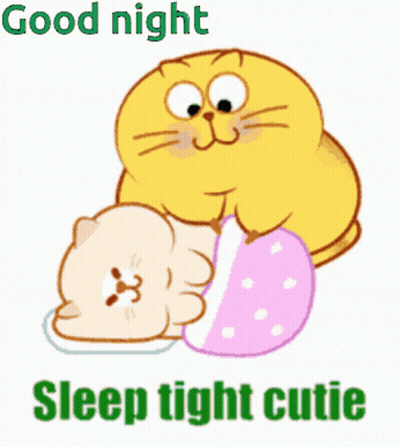 A Cartoon Cat Laying On Top Of Another Cat With The Words " Good Night Sleep Tight Cutie " Below It GIF