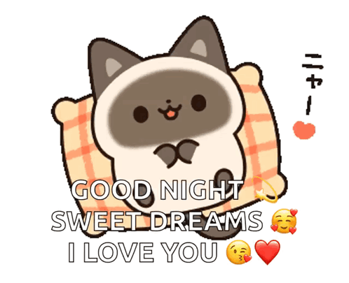A Cartoon Cat Peeking Out From Behind A Checkered Pillow And Saying Good Night Sweet Dreams I Love You GIF