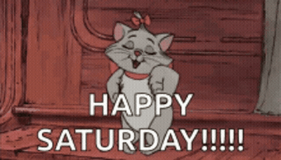 A Cartoon Cat Says Happy Saturday On A Red Background GIF