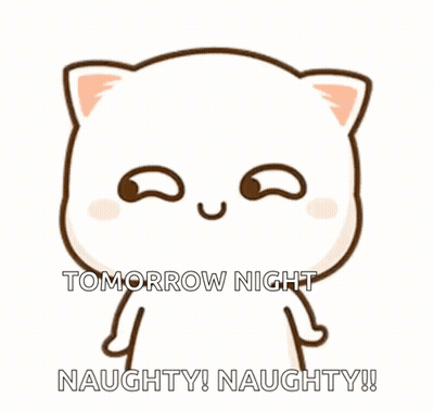 A Cartoon Cat Says Tomorrow Night Naughty And Naughty GIF