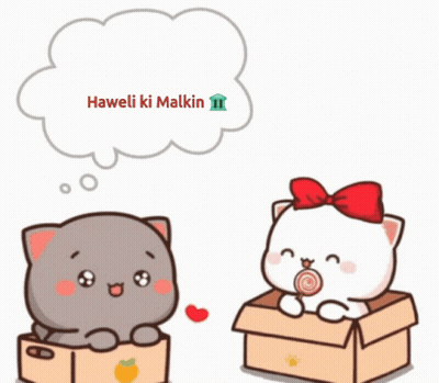 A Cartoon Cat Sitting In A Box With A Lollipop And A Thought Bubble That Says " Haweli Ki Malkin " GIF