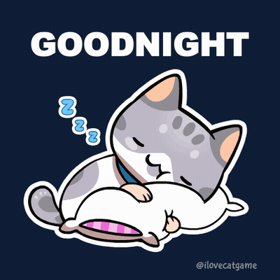 A Cartoon Cat Sleeping On A Pillow With The Words Goodnight Below It GIF