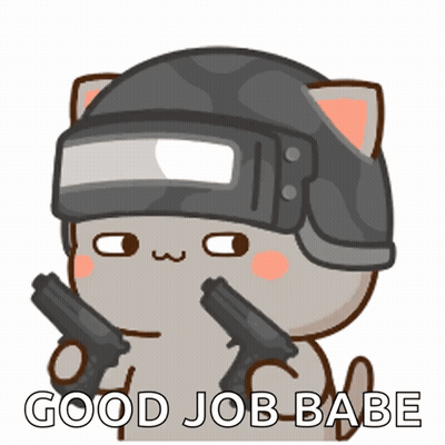 A Cartoon Cat Wearing A Helmet And Holding Two Guns With The Words " Good Job Babe " Below It GIF