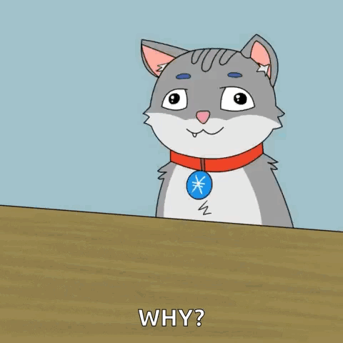 A Cartoon Cat Wearing A Red Collar Is Asking Why GIF