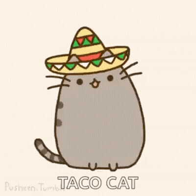 A Cartoon Cat Wearing A Sombrero With The Words Taco Cat Written Below It . GIF