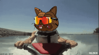 A Cartoon Cat Wearing Sunglasses Is Riding A Jet Ski In The Water GIF