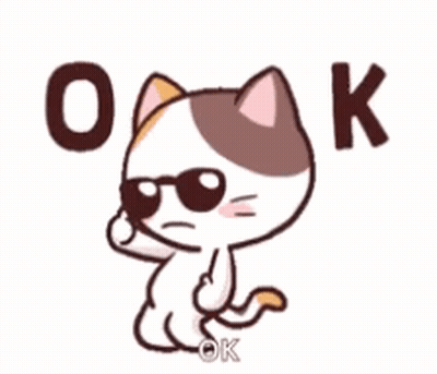 A Cartoon Cat Wearing Sunglasses Says Ok GIF
