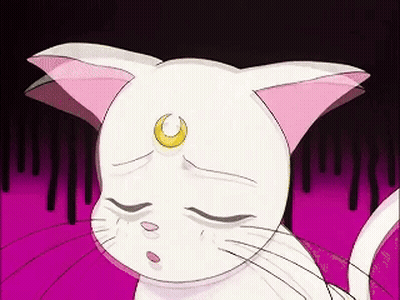 A Cartoon Cat With A Crescent Moon On Its Forehead GIF