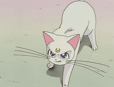 A Cartoon Cat With A Crescent Moon On Its Head GIF