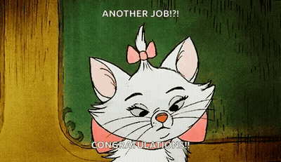 A Cartoon Cat With A Pink Bow On Its Head Says " Congratulations " GIF