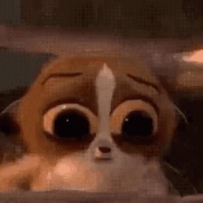 A Cartoon Cat With Big Eyes Is Looking Out Of A Box . GIF
