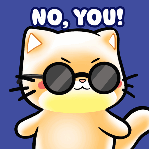 A Cartoon Cat With Sunglasses And The Words No You GIF