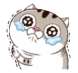 A Cartoon Cat With Tears Running Down Its Face Is Crying . Sticker