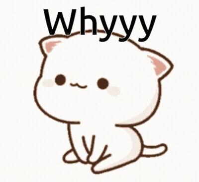 A Cartoon Cat With The Word Whyyy Written On It GIF