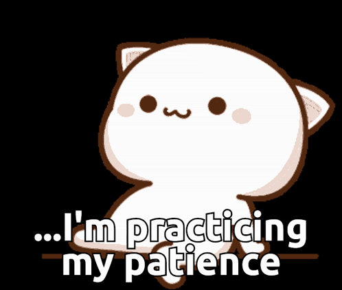 A Cartoon Cat With The Words " I 'M Practicing My Patience " GIF