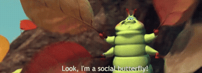 A Cartoon Caterpillar Is Standing In A Cave And Says `` Look , I 'M A Social Butterfly ! '' GIF
