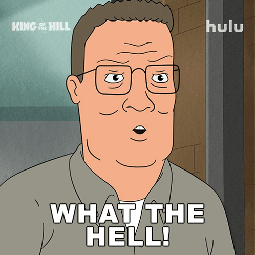 A Cartoon Character From King Of The Hill Says " What The Hell " GIF