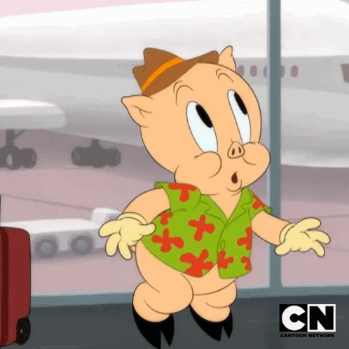 A Cartoon Character From The Cartoon Network Stands In Front Of An Airplane GIF
