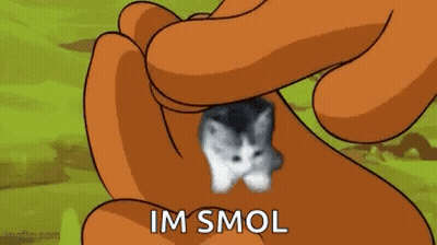A Cartoon Character Is Holding A Small Kitten In Their Hands . GIF