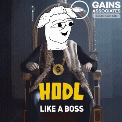 A Cartoon Character Is Sitting On A Throne With The Words Hodl Like A Boss Below Him GIF