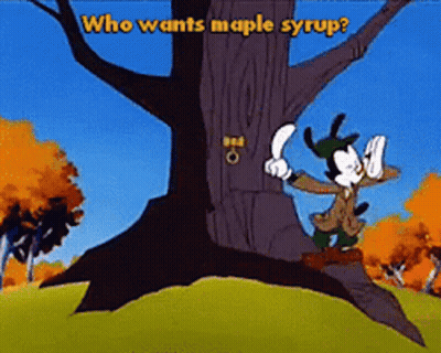 A Cartoon Character Is Standing Next To A Tree With The Words Who Wants Maple Syrup GIF