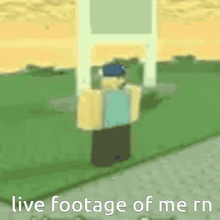A Cartoon Character Is Standing On A Grassy Field With The Words Live Footage Of Me Rn Below Him . GIF