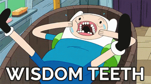 A Cartoon Character Laying In A Barrel With The Words " Wisdom Teeth " Written Below Him GIF