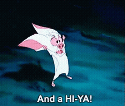 A Cartoon Character Says And A Hi-Ya On A Blue Background GIF