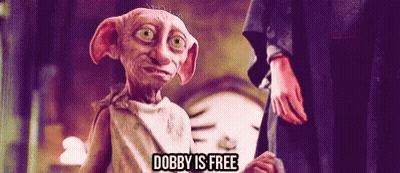 A Cartoon Character Says Dobby Is Free While Standing Next To A Man GIF