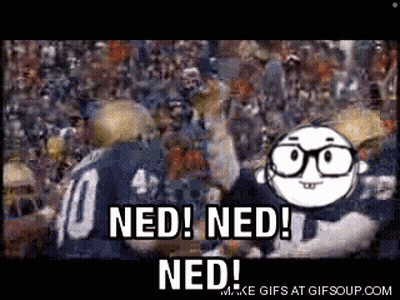 A Cartoon Character Says Ned Ned Ned In Front Of A Crowd Of People GIF