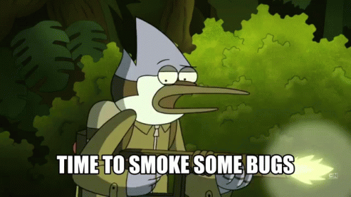 A Cartoon Character Says " Time To Smoke Some Bugs " While Holding A Gun GIF