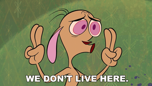 A Cartoon Character Says " We Don T Live Here " GIF