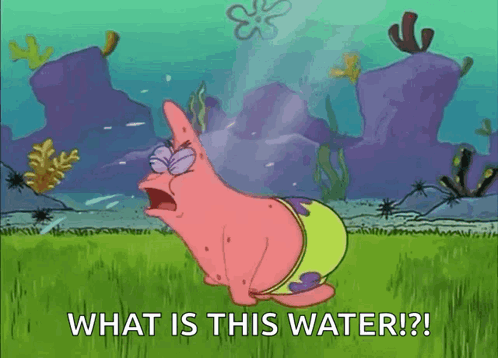 A Cartoon Character Says What Is This Water GIF
