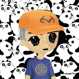 A Cartoon Character Wearing An Orange Hat And A Blue Shirt That Says Sid GIF