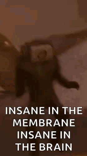 A Cartoon Character With A Camera On His Head And The Words `` Insane In The Membrane Insane In The Brain '' Written On  GIF