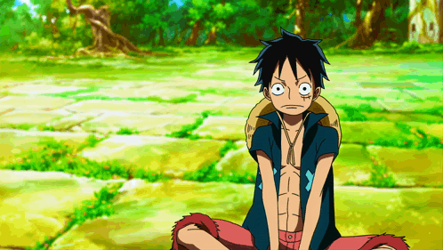 A Cartoon Character With A Monkey D Luffy Hat On His Head GIF