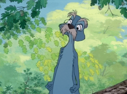 A Cartoon Character With A Mustache And Glasses Stands In A Forest GIF