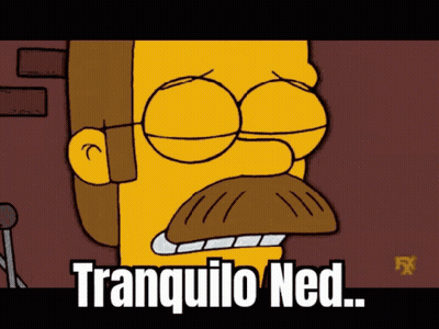 A Cartoon Character With Glasses And A Mustache Says Tranquilo Ned On The Bottom GIF