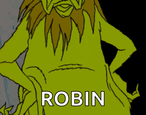 A Cartoon Character With The Name Robin On The Bottom Right GIF