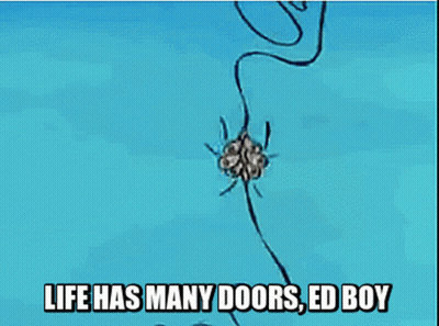 a cartoon character with the words life has many doors ed boy on the bottom