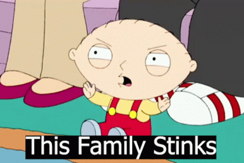 A Cartoon Character With The Words This Family Stinks On The Bottom GIF