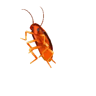 A Cartoon Cockroach Is Flying In The Air Sticker