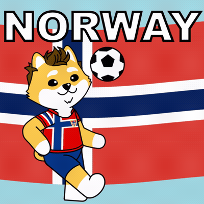 A Cartoon Dog Is Holding A Soccer Ball In Front Of A Flag With The Word Norway On It GIF