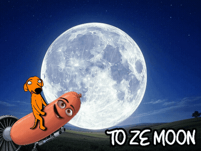 A Cartoon Dog Is Riding A Sausage In Front Of The Moon GIF