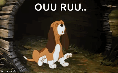 A Cartoon Dog Is Sitting In A Cave With The Words " Ouu Ruu " Written Above It GIF