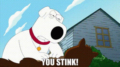 A Cartoon Dog Is Standing Next To A Cat And Saying You Stink ! GIF